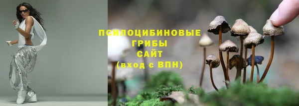 мдма Белокуриха