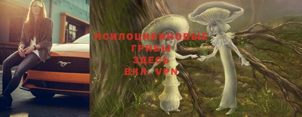 мдма Белокуриха